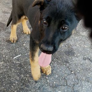 Meet your Posher, Jess